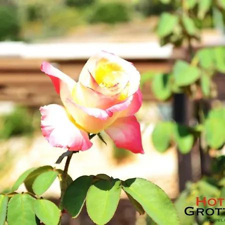 Grotticelli Hotell 3*